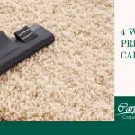 4 Ways to Prevent Carpet Mold
