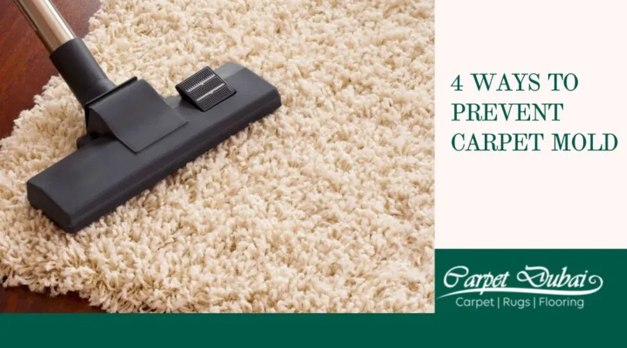 4 Ways to Prevent Carpet Mold