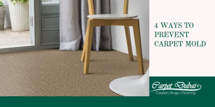 Better to Install the Synthetic Carpet As Your Home Floor Covering