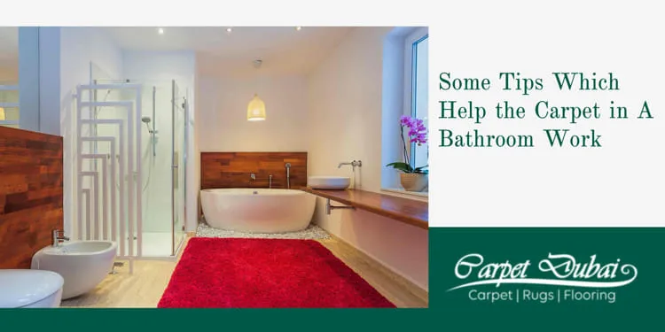 Can Carpet In A Bathroom Work? | 5 Tips Why Not | Guide 2022