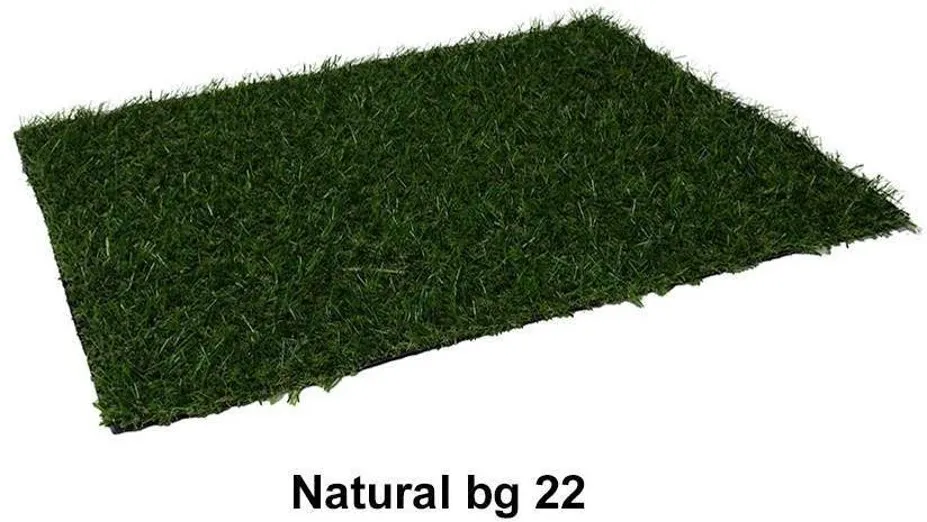 Natural bg 22 Artificial Grass Carpet Image