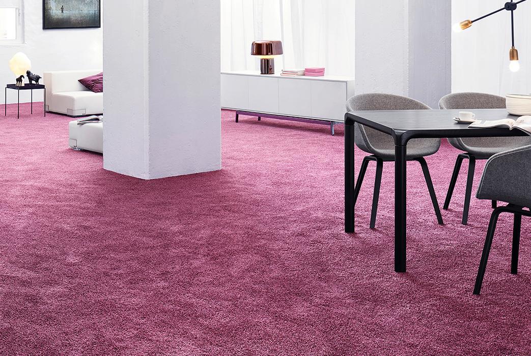 Best Quality Hypoallergenic Carpet