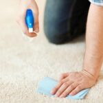 Carpet Cleaner Services