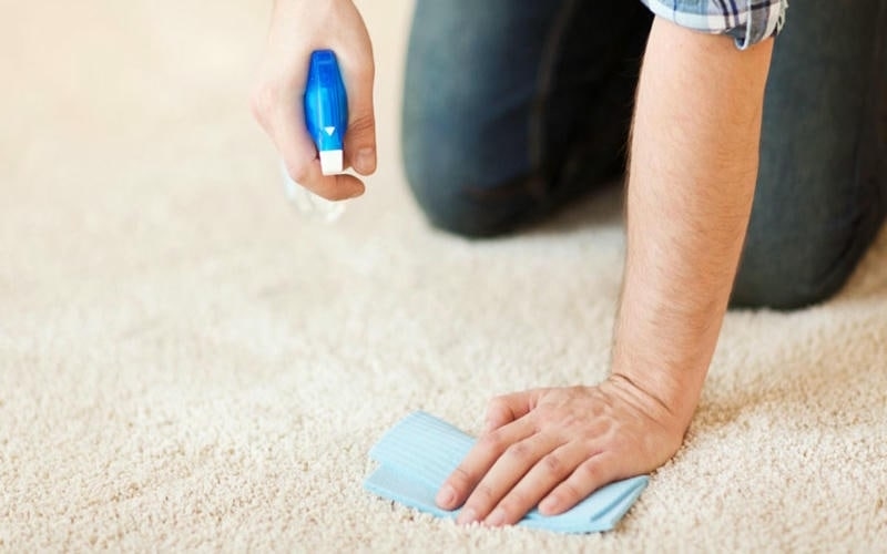 Carpet Cleaner Services
