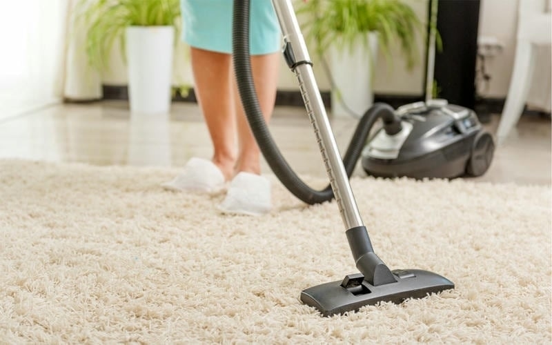 Clean Vacuum Filter Carpet