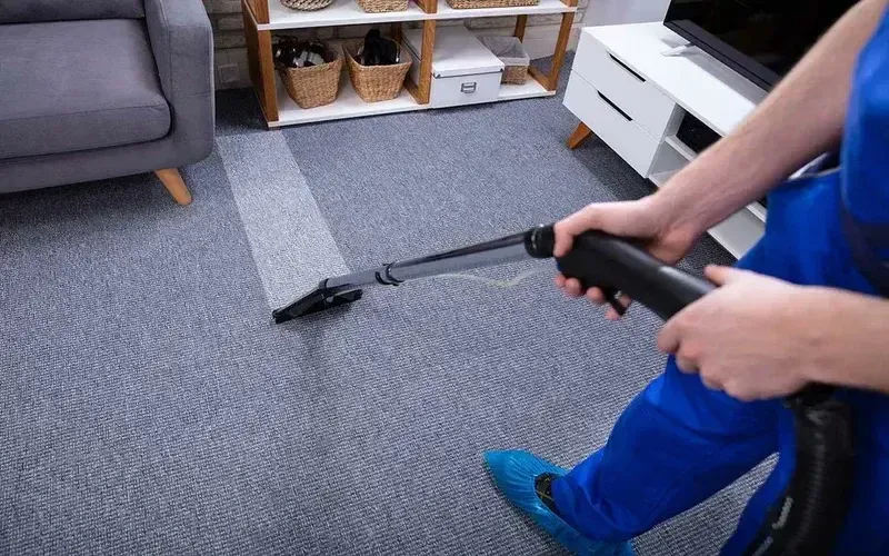 Professional Cleaner Carpet