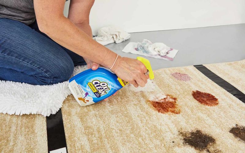 Remove Bleach Spots From Carpets