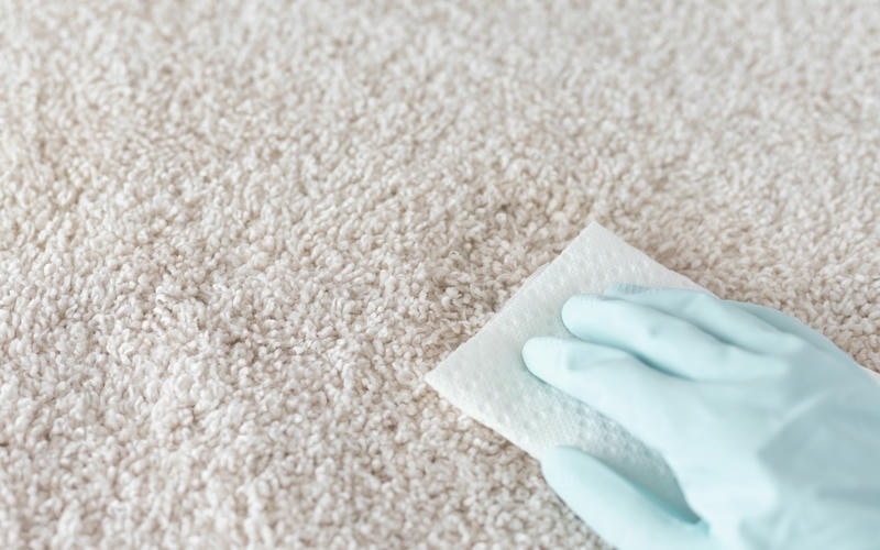 Remove Dog Pee Stain From Carpet