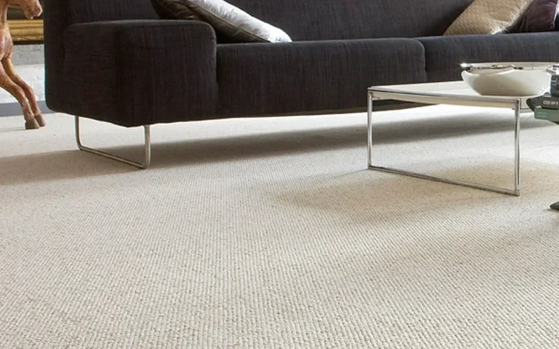 Underfoot Comfort Carpet