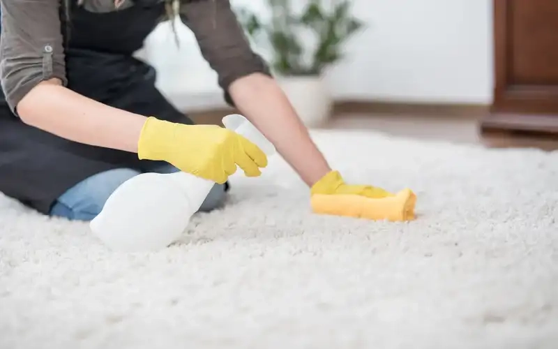 Vinegar Carpet Cleaning Solutions