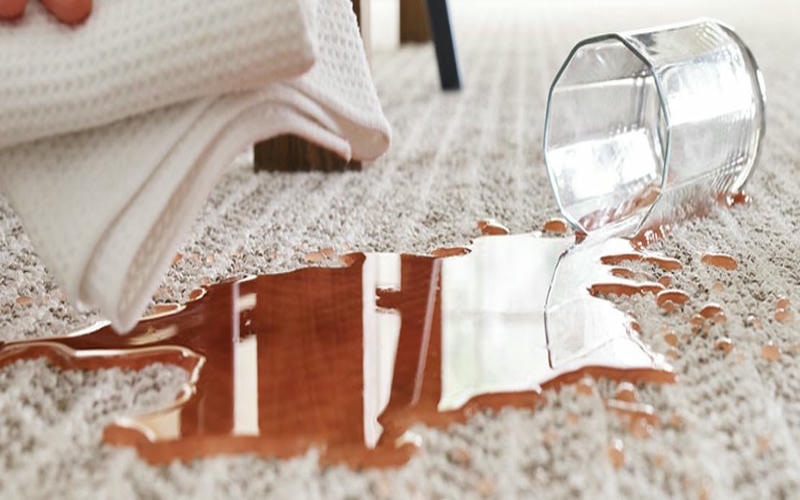 Water Resistant Carpet