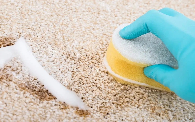 homemade carpet cleaners