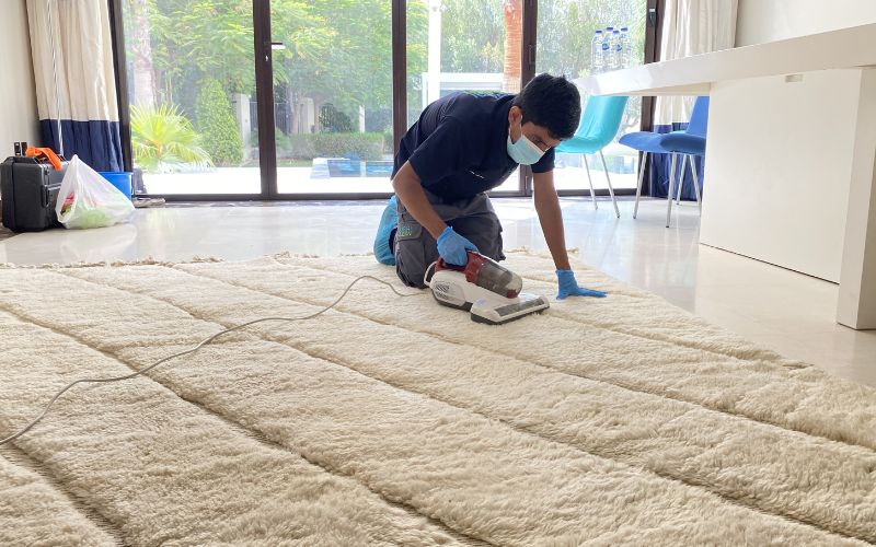 Professional Cleaning 