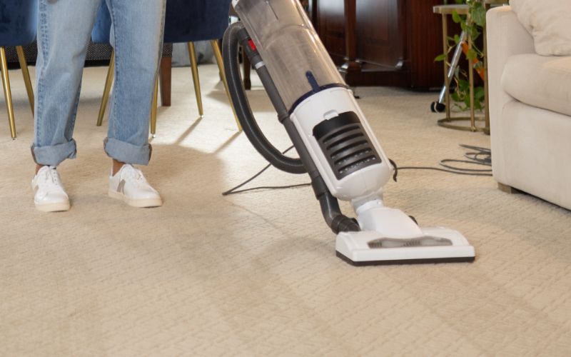 Regular Vacuuming 