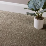 Taupe Carpets