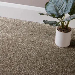 Taupe Carpets