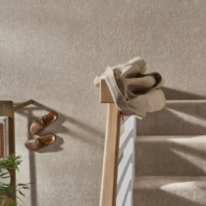 Everyday Cocoa Carpet