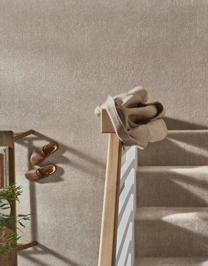 Everyday Cocoa Carpet