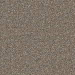 Lille Taupe Carpet