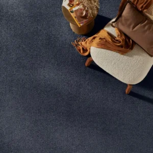 Plush Anthracite Carpet