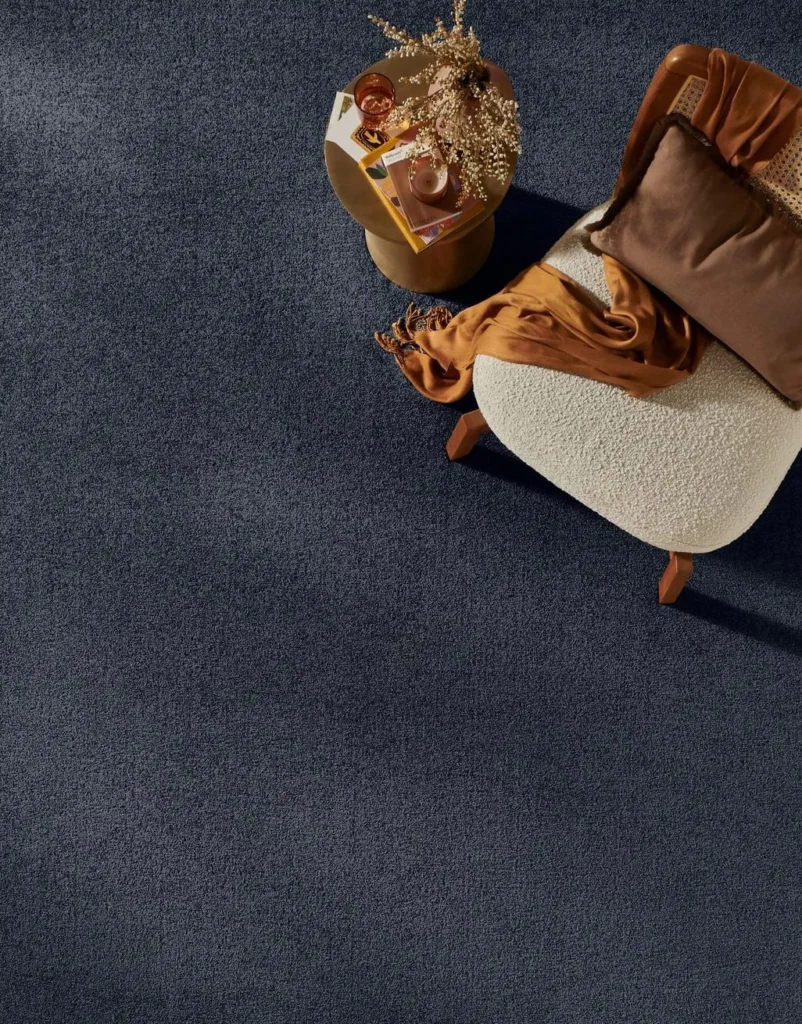 Plush Anthracite Carpet