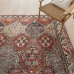 Vintage Rust Ceramic Patterned Carpet