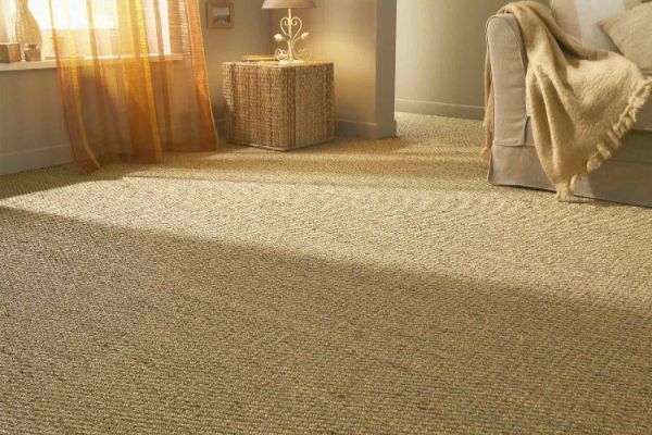 Affortable Sisal Carpet