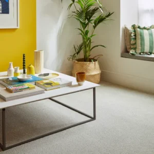 Arctic Grey Sensation Original 60oz Carpet by Cormar