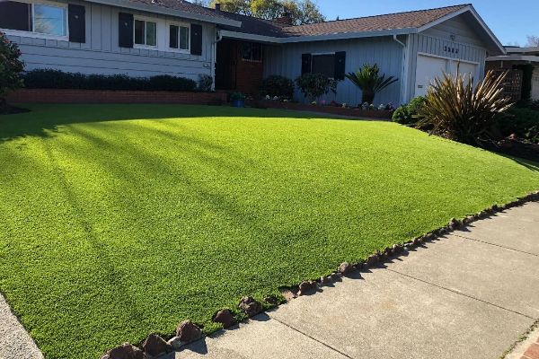 Artificial Grass