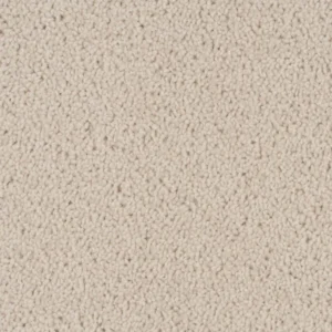 Barakula Office Carpets