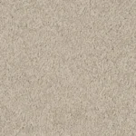 Basenji Office Carpet