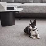 Basenji Office Carpet