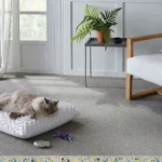Birman Carpet