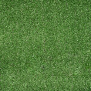 Budget Artificial Grass