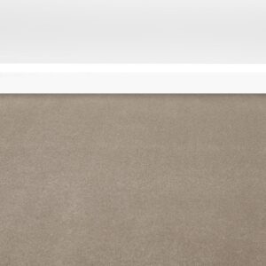 Burlington Dense Twist Carpet