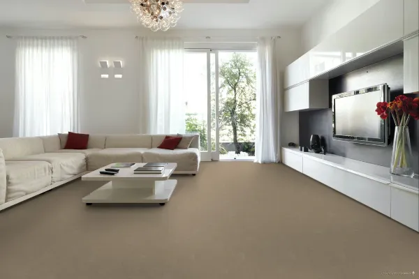 Classic Beige Carpet Living Room