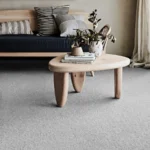 Defined Charm Carpet