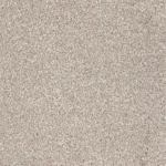 Eureka Carpet