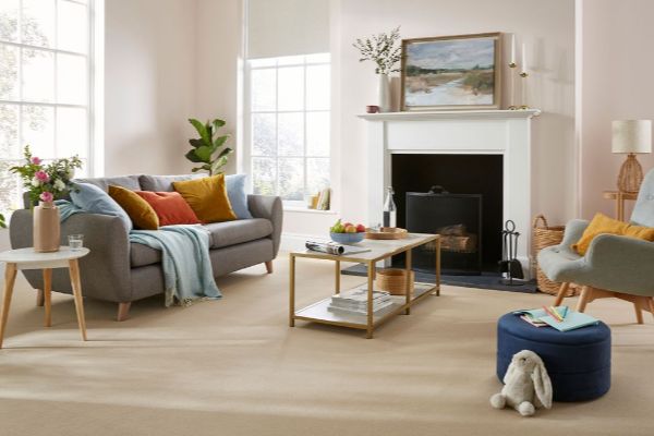 Living Room Carpet