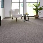Ruxley Berber Loop Carpet