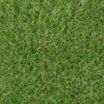 Sherbrooke 30mm Artificial Grass