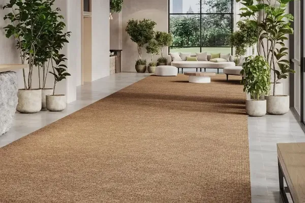 Wonderful Sisal Carpet