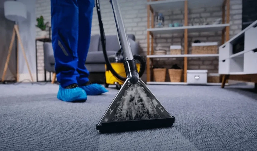Professional Carpet Deep Cleaning