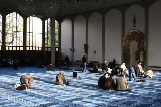 Unique Mosque Carpets