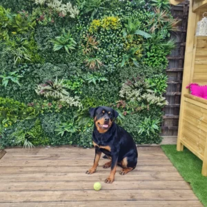 Colourful Blooms Artificial Plant Wall Panel 7