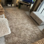 Oxford 912 Light Beige Rug