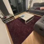 Oxford 912 Violet Rug