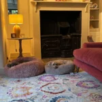 Vintage Kashan VKA04 Ivory Multi Rug