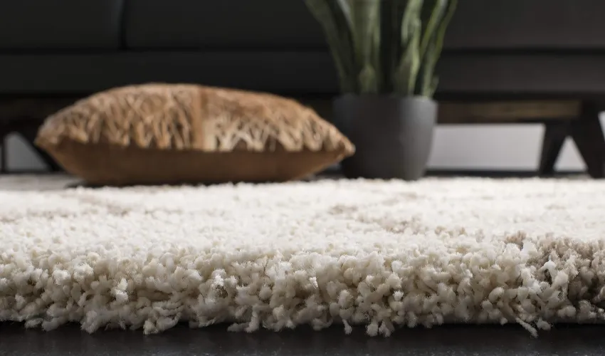 Shag and Deep Pile Carpet
