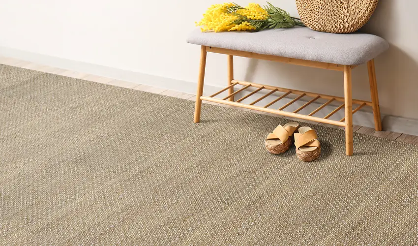 Sisal Carpet